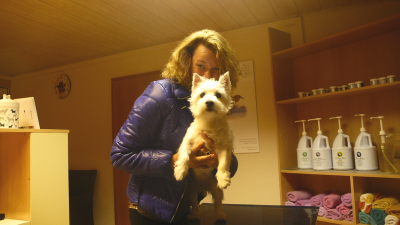 Gina, West Highland Terrier