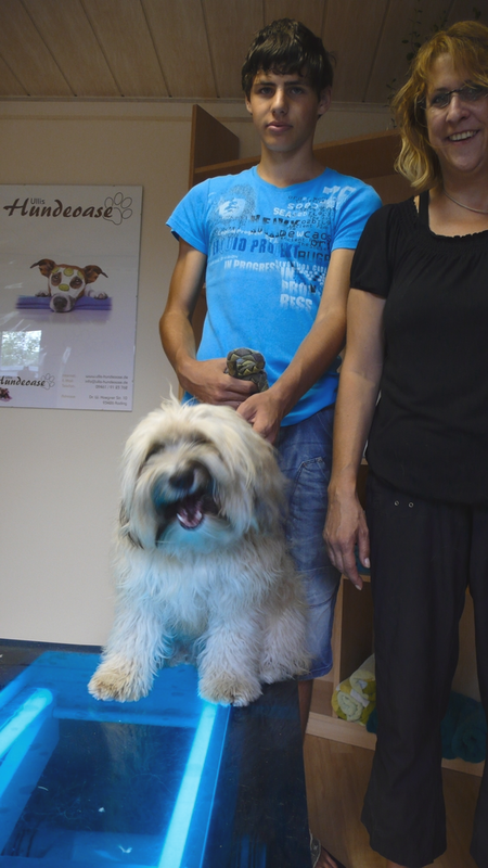 Jimmy, Tibetterrier