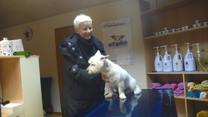 Lotta, West Highland Terrier