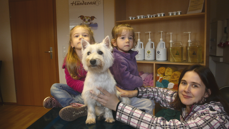 Tessa, West Highland Terrier